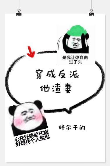 穿成反派他渣妻