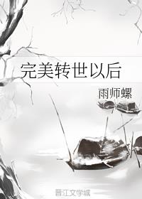 完美转世以后