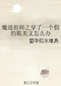 魔道祖师之穿了一个假的耽美文怎么办