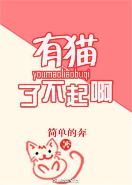 有猫了不起啊