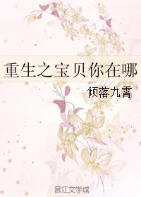 重生之宝贝你在哪
