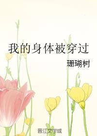 我的身体被穿过