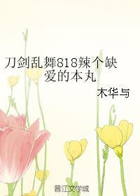 刀剑乱舞818辣个缺爱的本丸