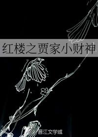 红楼之贾家小财神