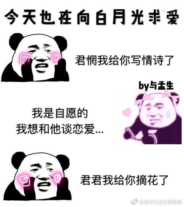 今天也在向白月光求爱