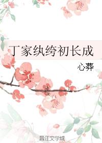 丁家纨绔初长成