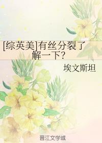 [Ӣ]˿˽һ£